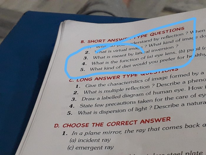 Fungsi Pupil Pada Mata