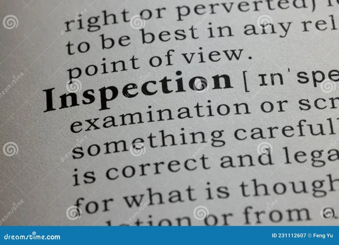 Inspection house code insurance disaster select inspectors our pass transaction credentials memo 2009 inspections tips top services inspector court spanish