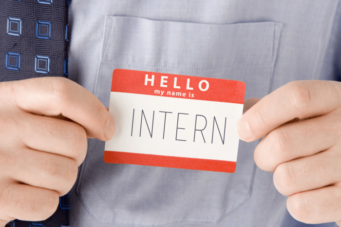 Intern Adalah