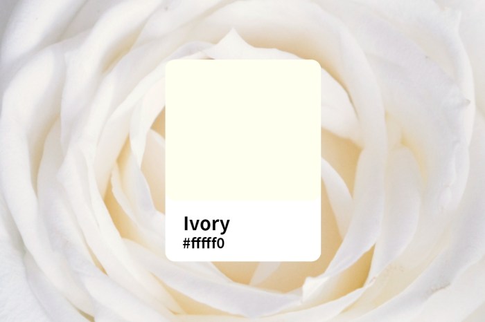 Ivory color white like meaning colors information