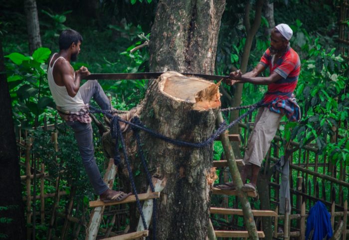 Hutan Konservasi Adalah